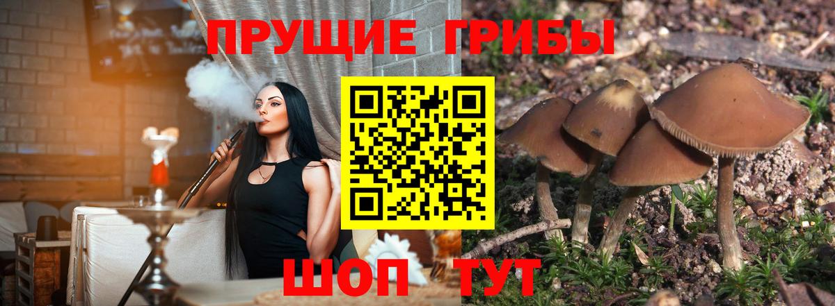 Малоярославец  Галлюциногенные грибы Magic Shrooms  Вход с VPN 